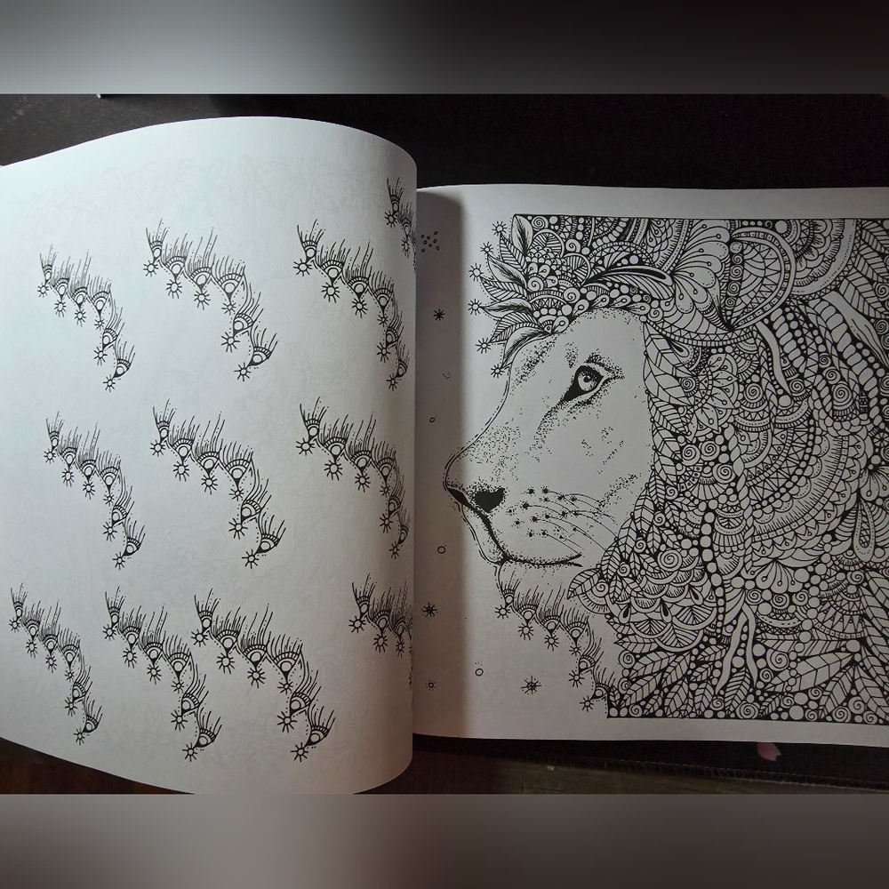 Colorama The Magic Path Coloring Book - Picture 4 of 7